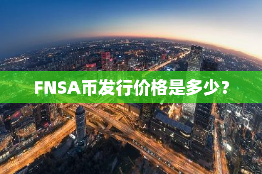 FNSA币发行价格是多少？