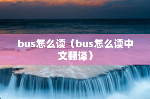 bus怎么读（bus怎么读中文翻译）