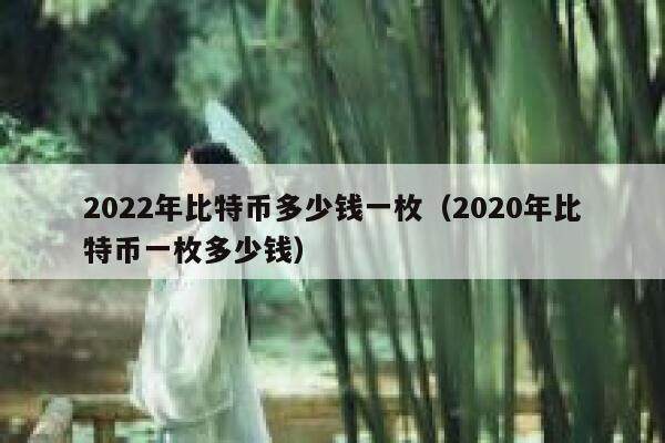 2022年比特币多少钱一枚（2020年比特币一枚多少钱）