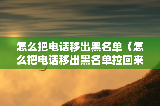 怎么把电话移出黑名单（怎么把电话移出黑名单拉回来）