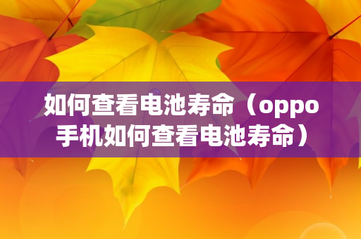 如何查看电池寿命（oppo手机如何查看电池寿命）