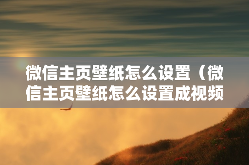 微信主页壁纸怎么设置（微信主页壁纸怎么设置成视频）