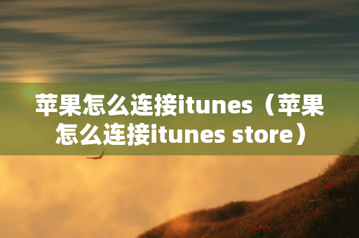 苹果怎么连接itunes（苹果怎么连接itunes store）