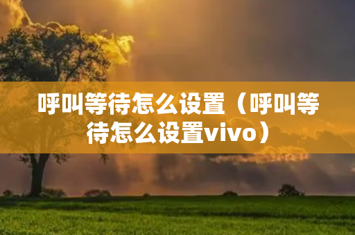 呼叫等待怎么设置（呼叫等待怎么设置vivo）