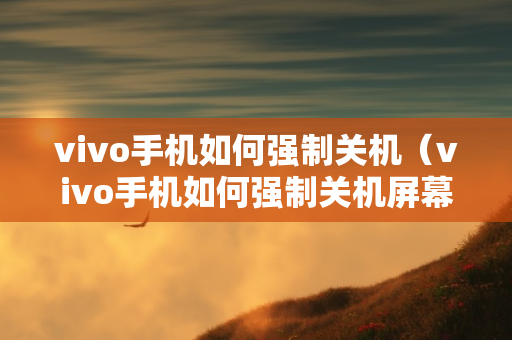 vivo手机如何强制关机（vivo手机如何强制关机屏幕失灵）