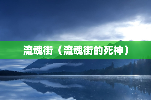 流魂街（流魂街的死神）