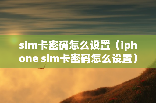 sim卡密码怎么设置（iphone sim卡密码怎么设置）