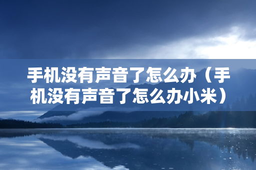 手机没有声音了怎么办（手机没有声音了怎么办小米）