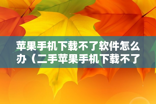 苹果手机下载不了软件怎么办（二手苹果手机下载不了软件怎么办）