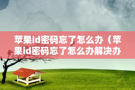 苹果id密码忘了怎么办（苹果id密码忘了怎么办解决办法）