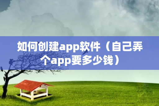 如何创建app软件（自己弄个app要多少钱）