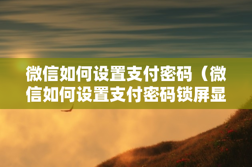 微信如何设置支付密码（微信如何设置支付密码锁屏显示）