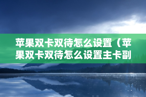 苹果双卡双待怎么设置（苹果双卡双待怎么设置主卡副卡）