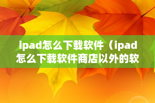 ipad怎么下载软件（ipad怎么下载软件商店以外的软件）