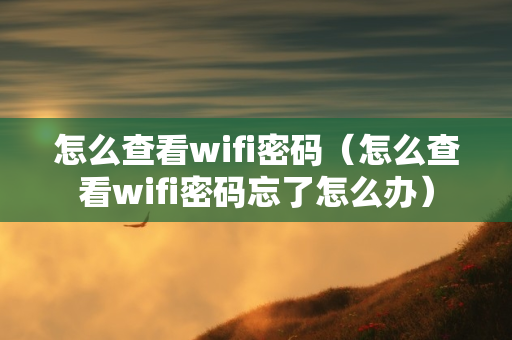 怎么查看wifi密码（怎么查看wifi密码忘了怎么办）