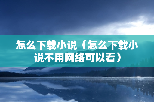 怎么下载小说（怎么下载小说不用网络可以看）