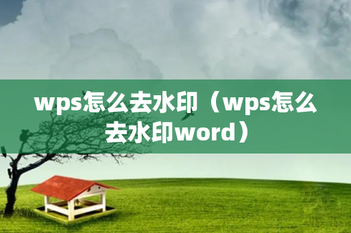 wps怎么去水印（wps怎么去水印word）