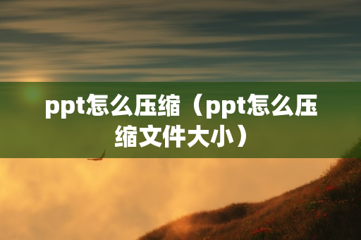 ppt怎么压缩（ppt怎么压缩文件大小）