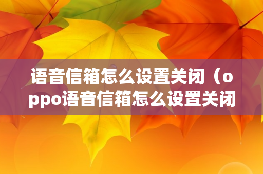 语音信箱怎么设置关闭（oppo语音信箱怎么设置关闭）