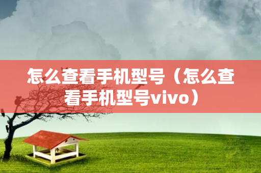 怎么查看手机型号（怎么查看手机型号vivo）