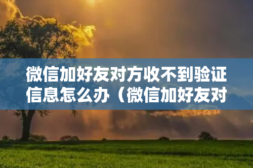 微信加好友对方收不到验证信息怎么办（微信加好友对方收不到验证信息怎么办）