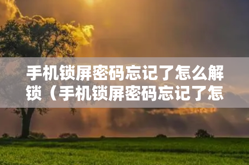 手机锁屏密码忘记了怎么解锁（手机锁屏密码忘记了怎么解锁华为）