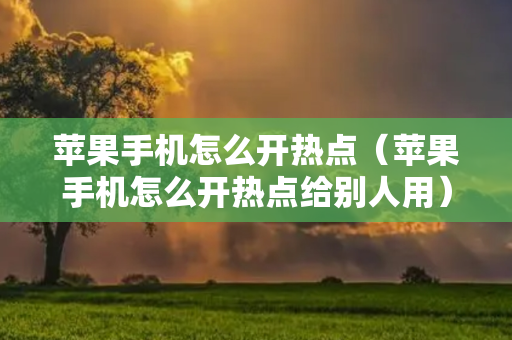 苹果手机怎么开热点（苹果手机怎么开热点给别人用）