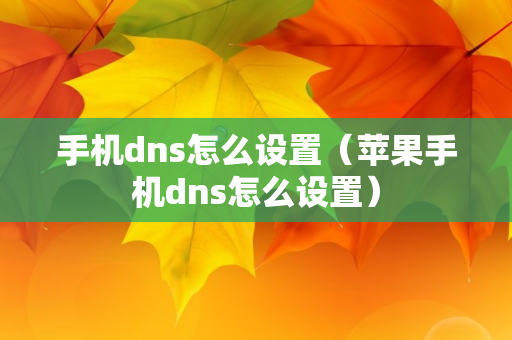 手机dns怎么设置（苹果手机dns怎么设置）