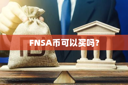 FNSA币可以买吗？