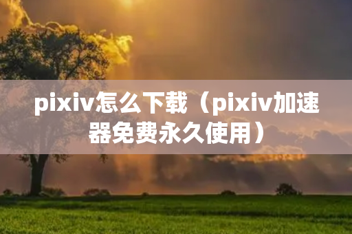 pixiv怎么下载（pixiv加速器免费永久使用）