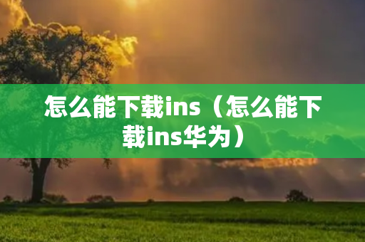 怎么能下载ins（怎么能下载ins华为）