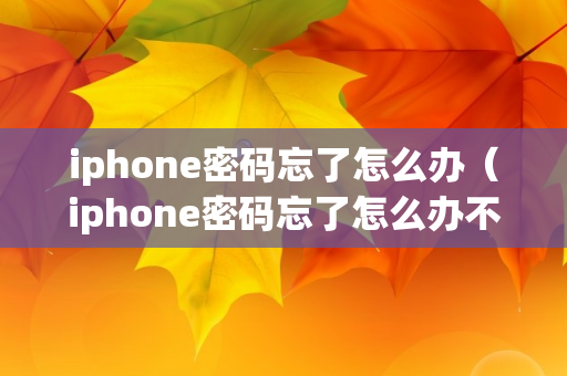 iphone密码忘了怎么办（iphone密码忘了怎么办不抹掉数据）