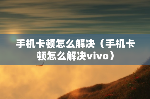 手机卡顿怎么解决（手机卡顿怎么解决vivo）