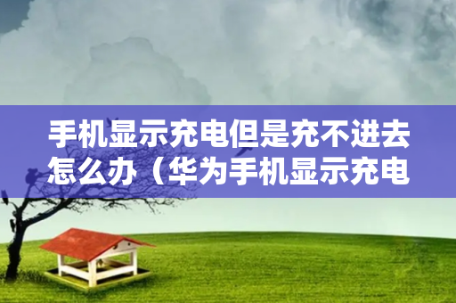 手机显示充电但是充不进去怎么办（华为手机显示充电但是充不进去怎么办）