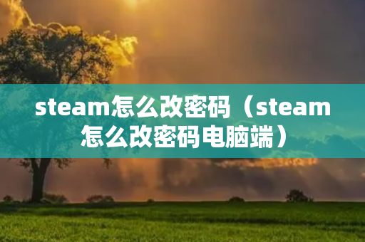 steam怎么改密码（steam怎么改密码电脑端）