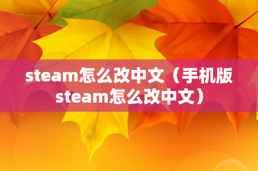 steam怎么改中文（手机版steam怎么改中文）