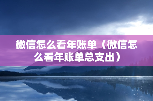 微信怎么看年账单（微信怎么看年账单总支出）