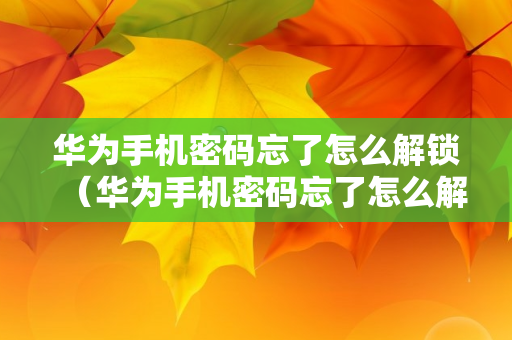 华为手机密码忘了怎么解锁（华为手机密码忘了怎么解锁不丢数据）