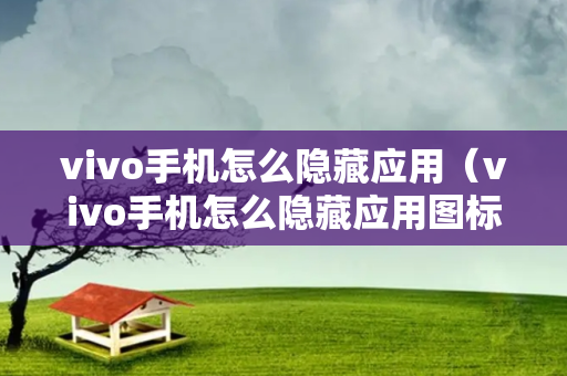 vivo手机怎么隐藏应用（vivo手机怎么隐藏应用图标）