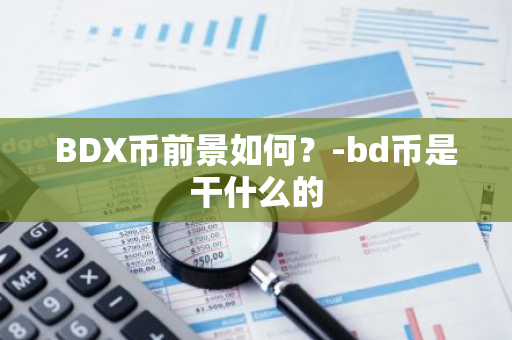 BDX币前景如何？-bd币是干什么的