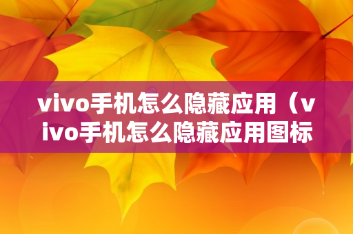 vivo手机怎么隐藏应用（vivo手机怎么隐藏应用图标）