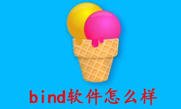 bind软件怎么样