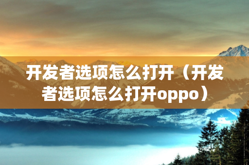 开发者选项怎么打开（开发者选项怎么打开oppo）