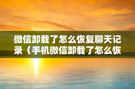 微信卸载了怎么恢复聊天记录（手机微信卸载了怎么恢复聊天记录）