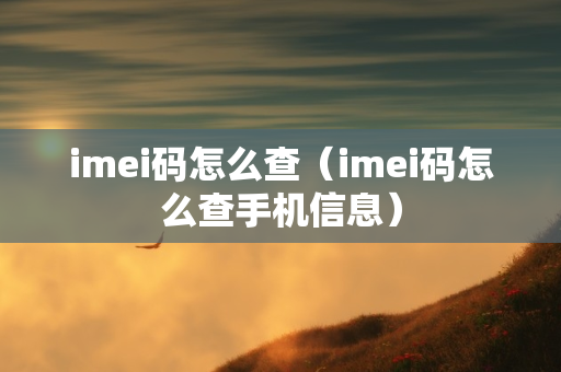 imei码怎么查（imei码怎么查手机信息）