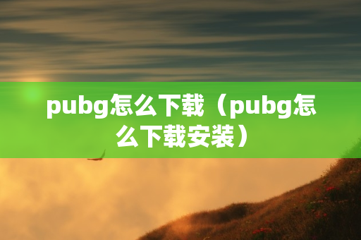 pubg怎么下载（pubg怎么下载安装）