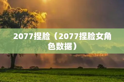 2077捏脸（2077捏脸女角色数据）