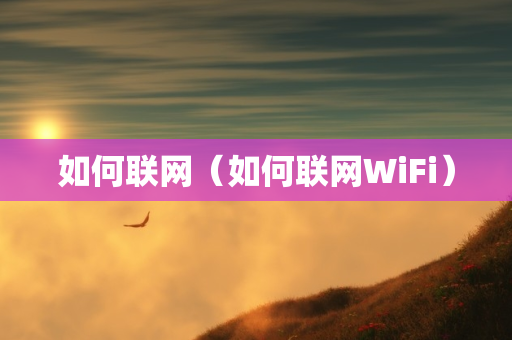 如何联网（如何联网WiFi）