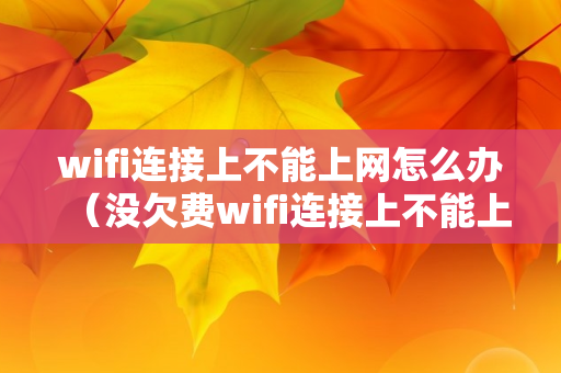 wifi连接上不能上网怎么办（没欠费wifi连接上不能上网怎么办）