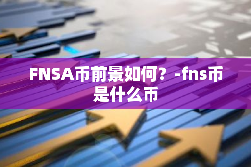 FNSA币前景如何？-fns币是什么币